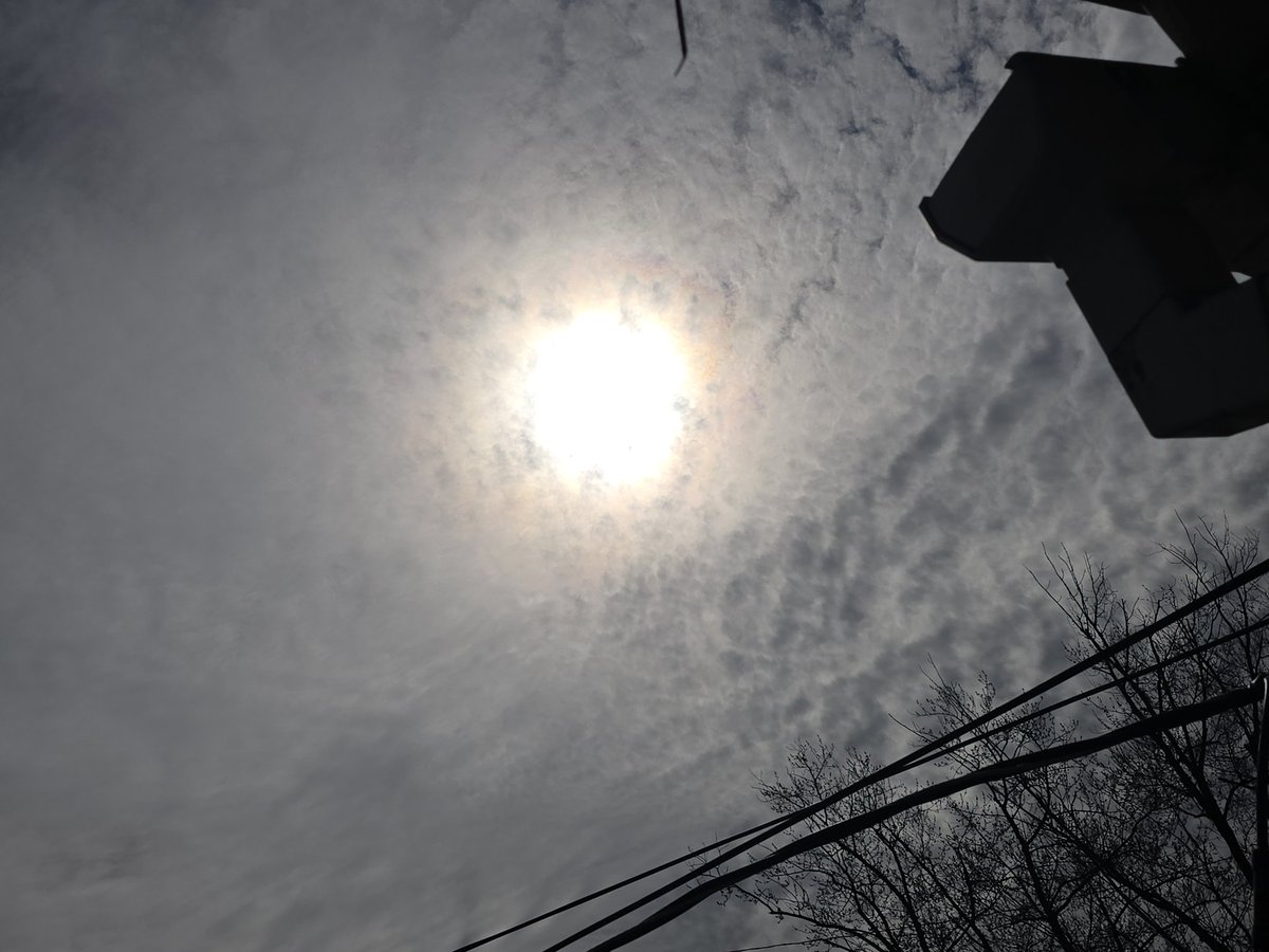 Jesse Lynn♥️ tweet media