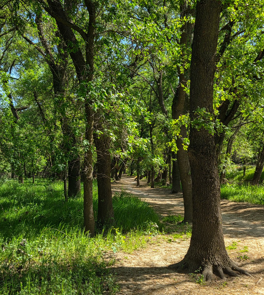 Jean Pagnone tweet media