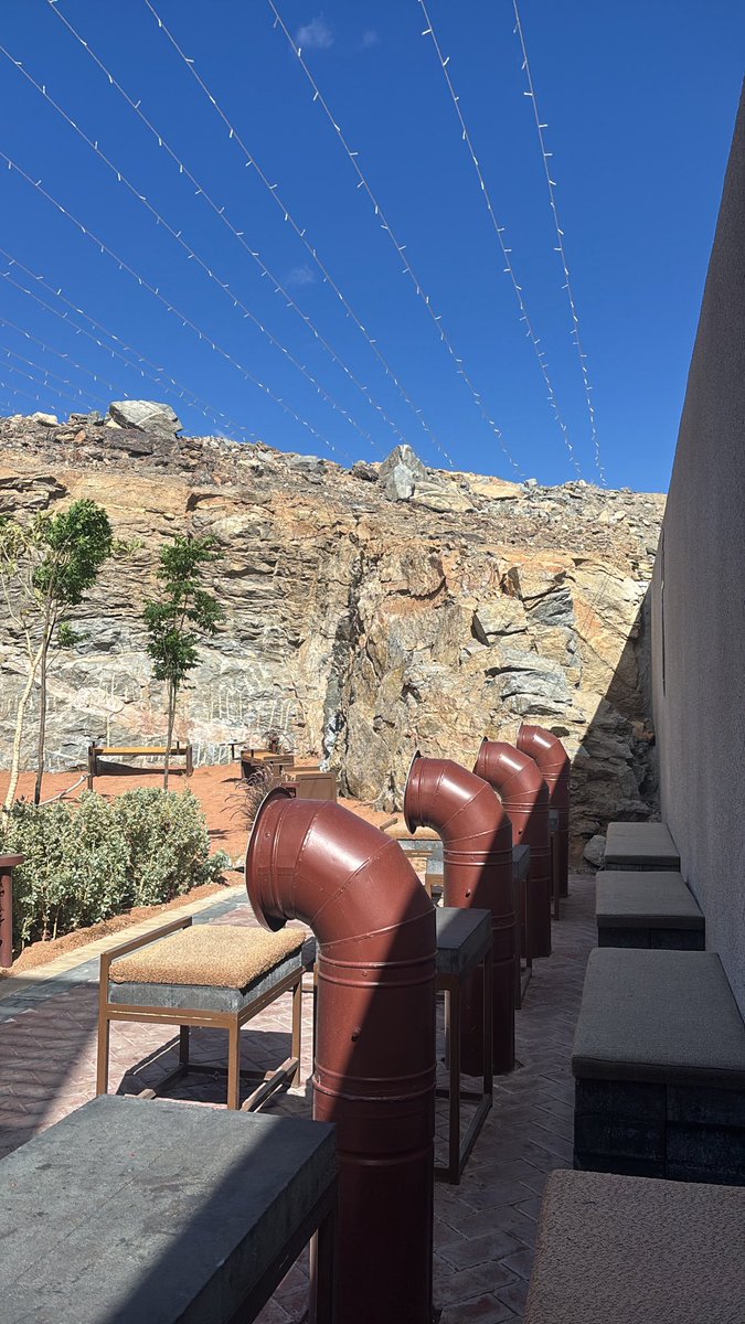 Jo Alshammari tweet media