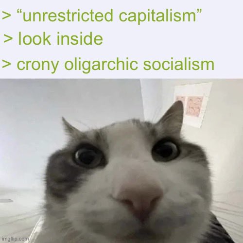 cryptovatooor - (Techno, Optimist) tweet media