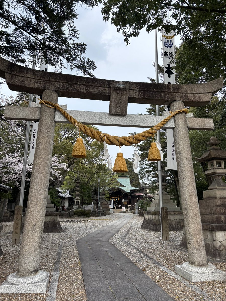 momo🐶ポメチワ tweet media