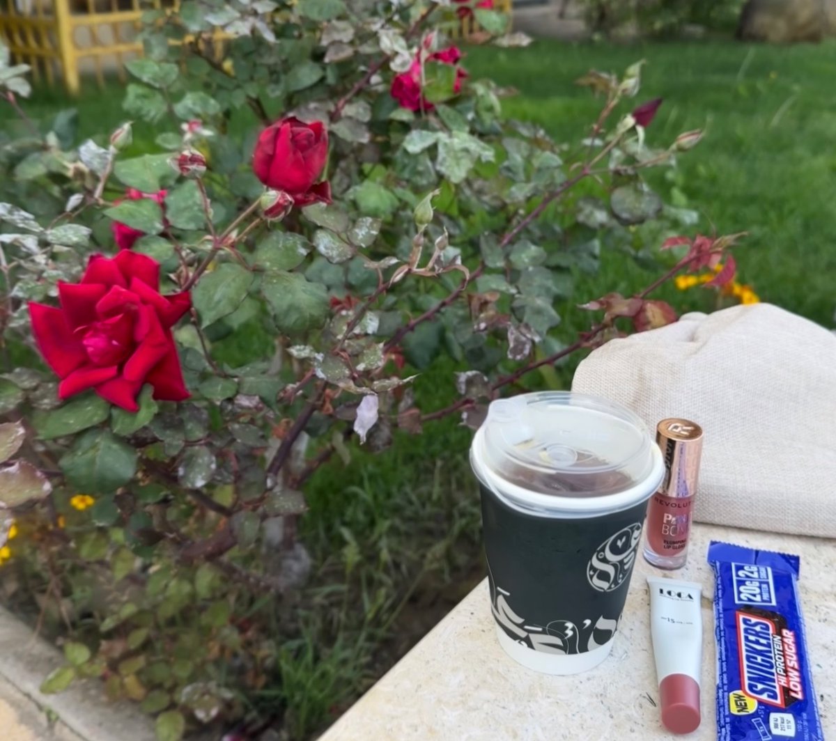 ‏أروى | ARWA tweet media