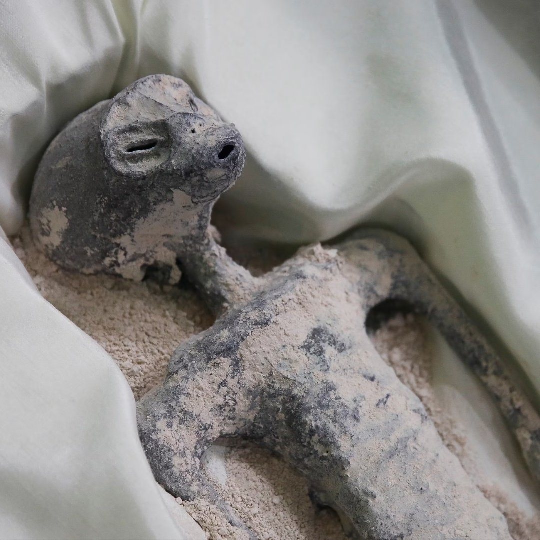 Space and Technology tweet media