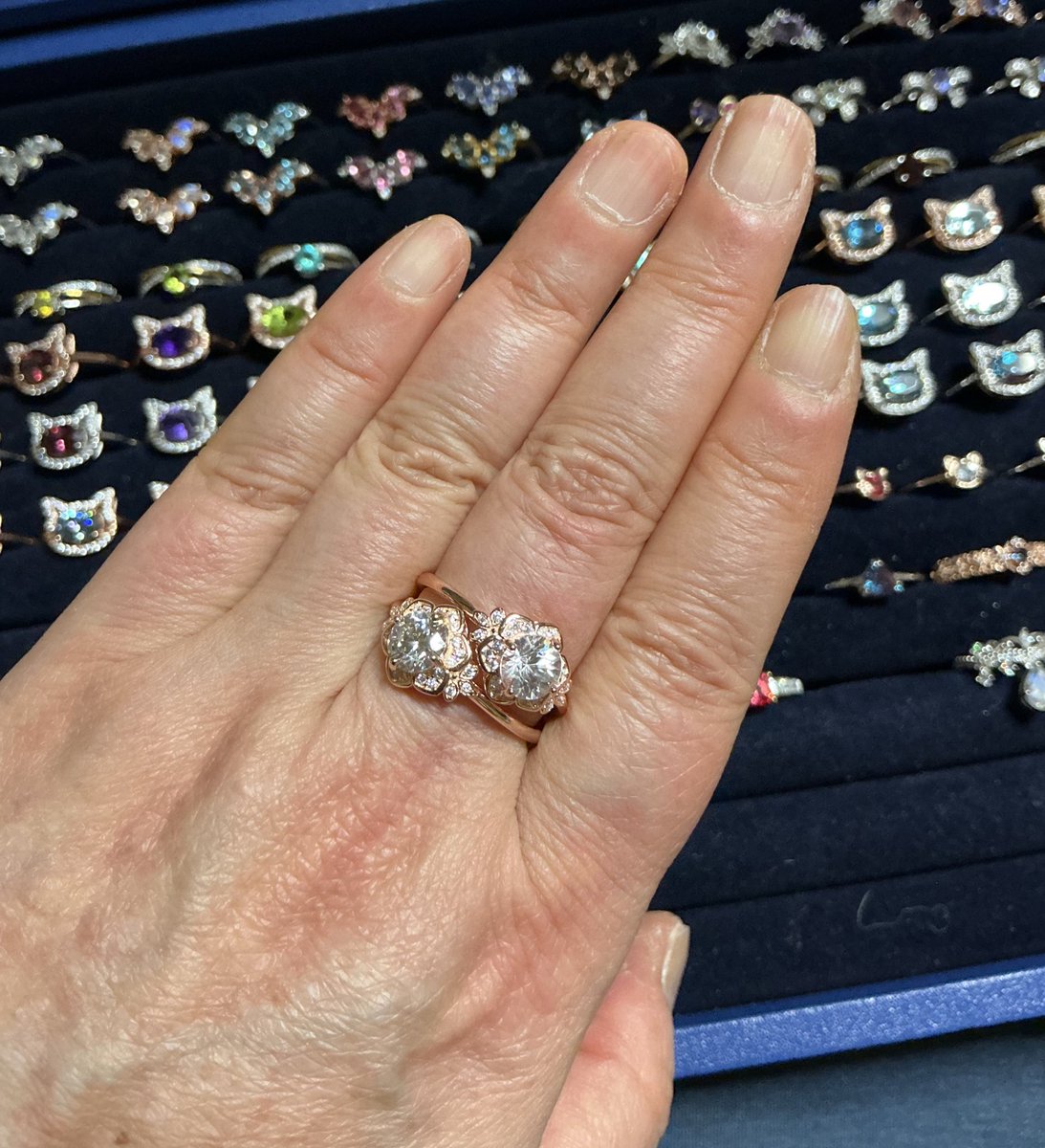 Akiko Naitoh tweet media