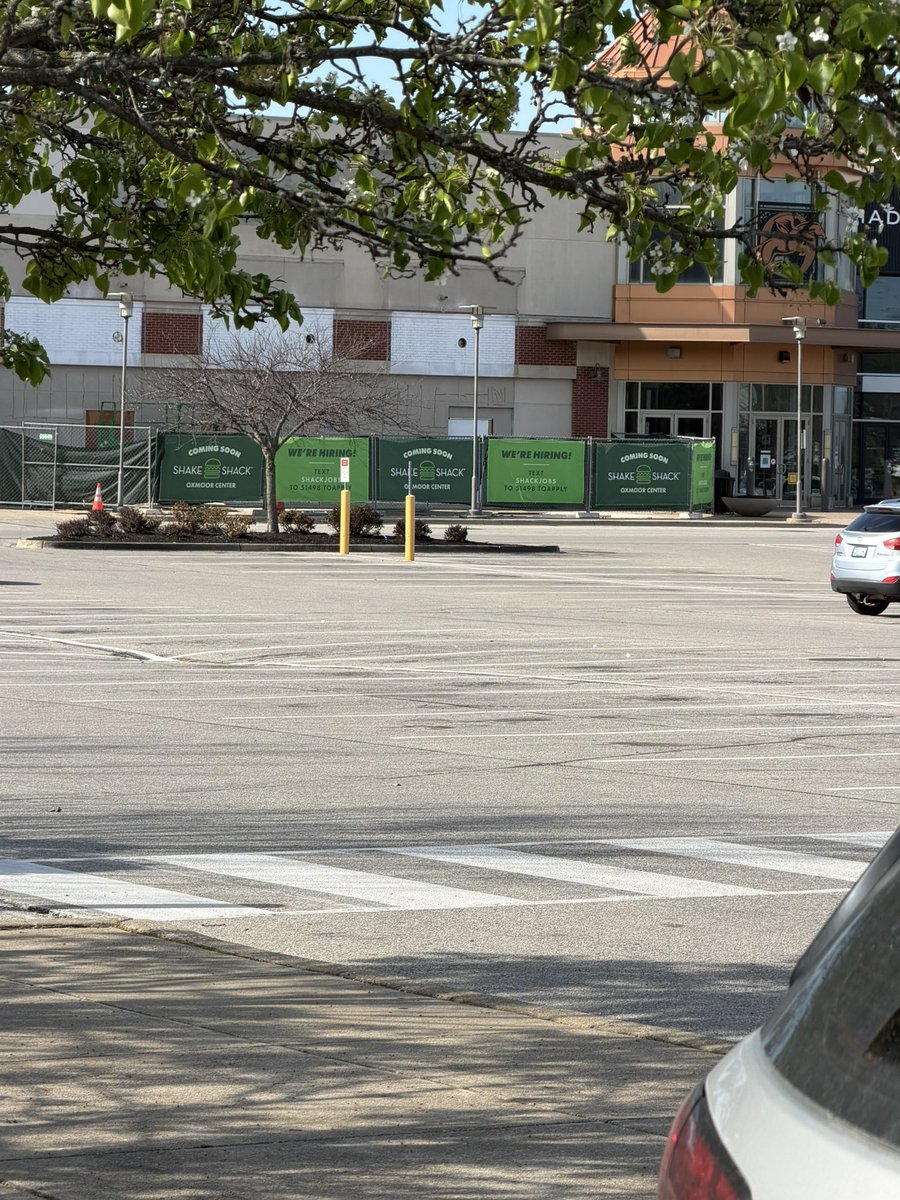 Steven Rummage tweet media