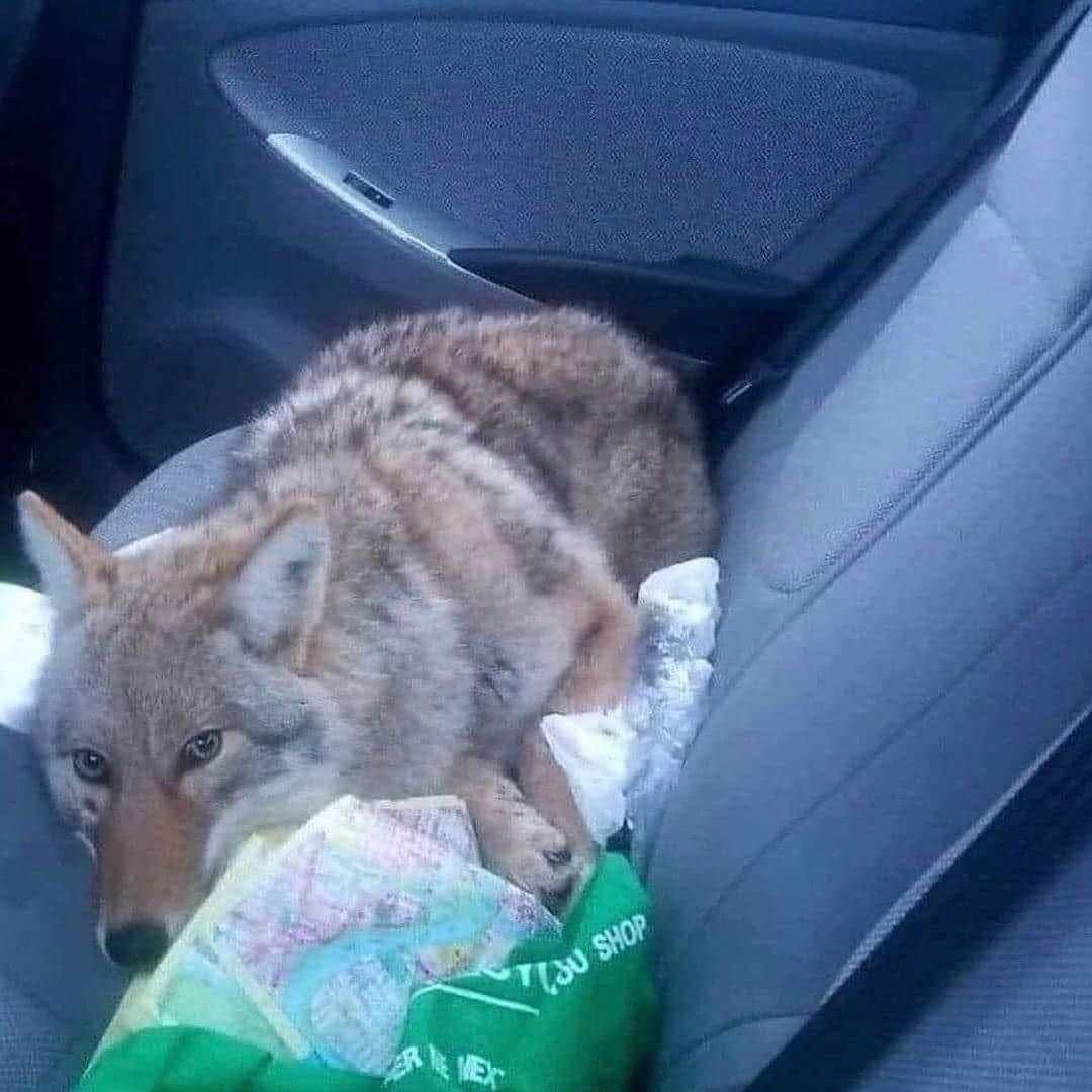 Sara Mary ⭐❤️ tweet media