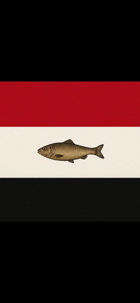 𝟓:𝟓𝟗 tweet media