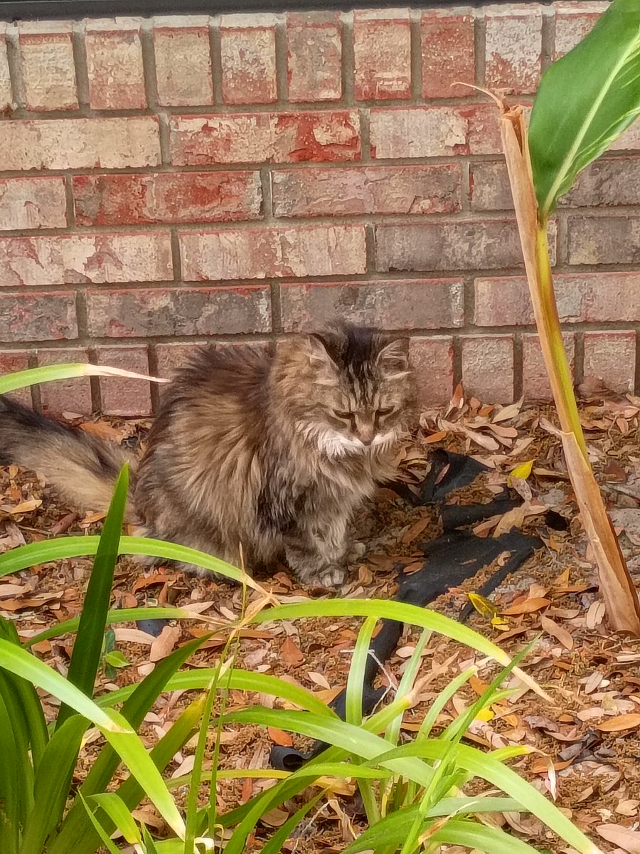 Marc C Wichman tweet media