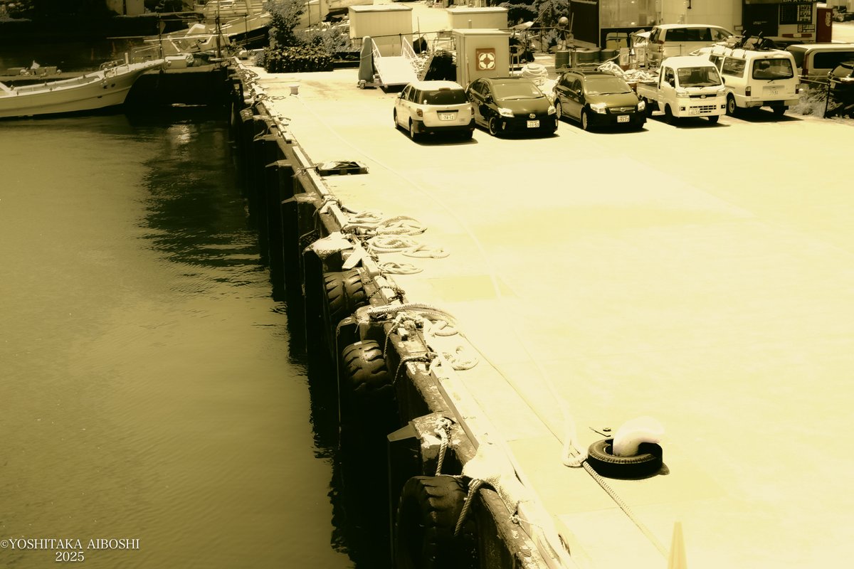 相星芳孝【Das Schicksal 制作委員会】 tweet media