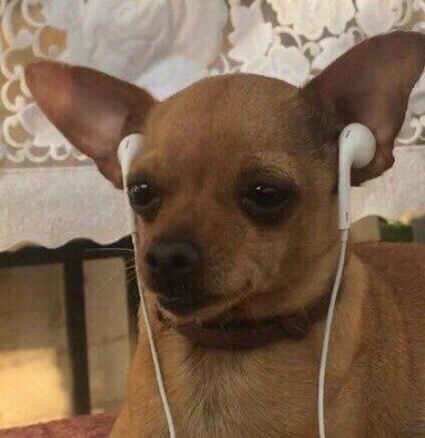 PATTA³⁹ | 𝓢𝓹𝓪𝓰𝓱𝓮𝓽𝓽𝓲🍝 tweet media