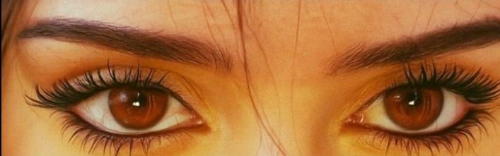 قلم وحبر tweet media