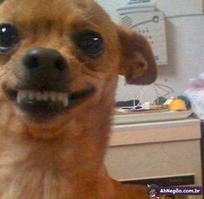 PATTA³⁹ | 𝓢𝓹𝓪𝓰𝓱𝓮𝓽𝓽𝓲🍝 tweet media