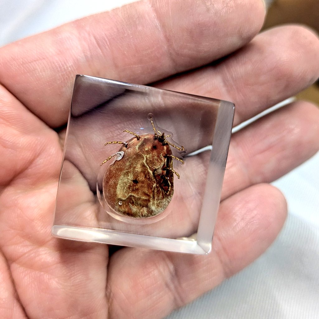 根津 貴博 @AtelierΦ tweet media