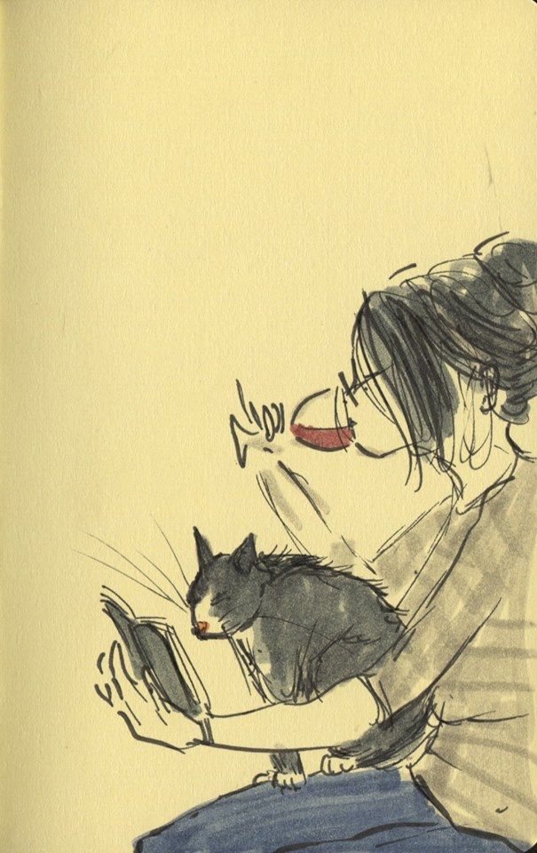 نَبِيلّ tweet media