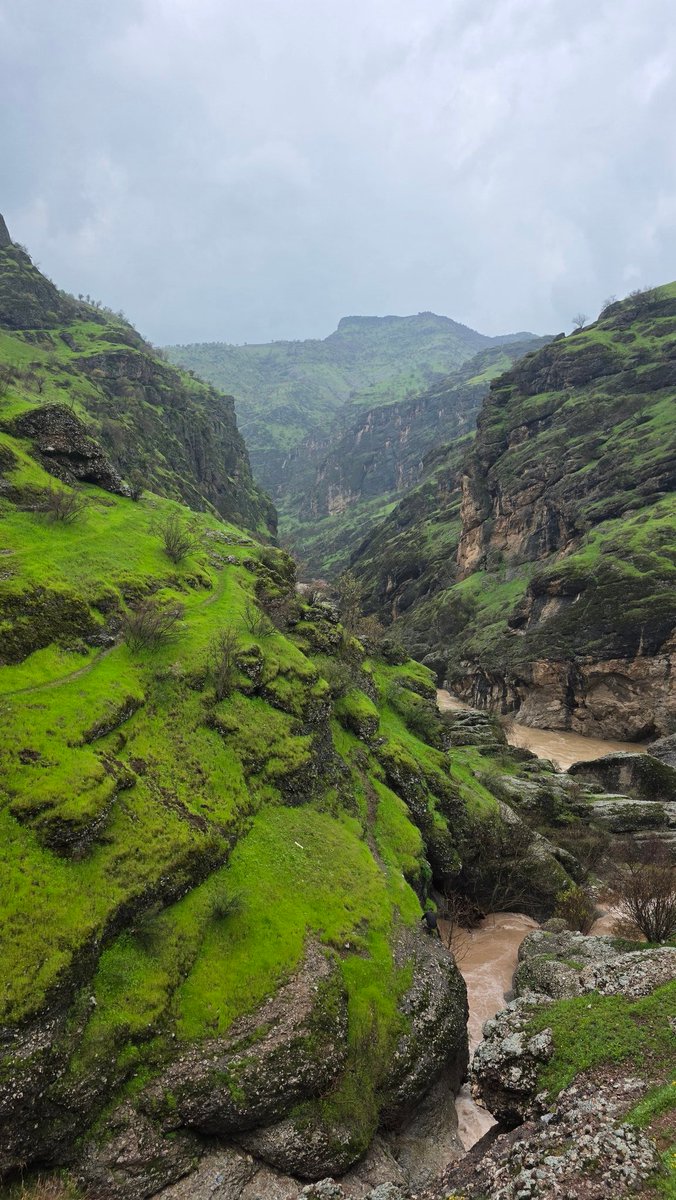 بیگ_بابان tweet media