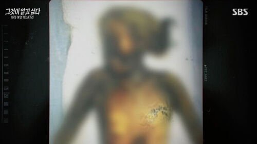 여성운전 프로젝트 '언니차' tweet media