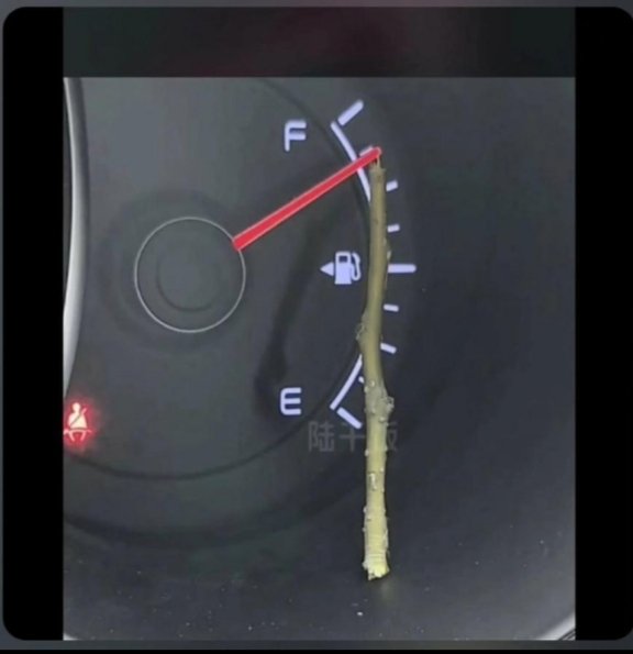 Meshaw Kim☆ tweet media