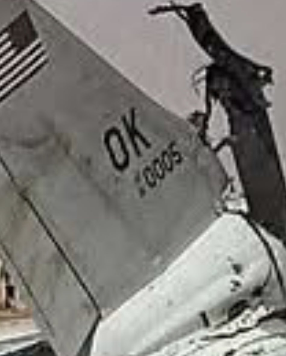 S1mpl3_N0m4d tweet media