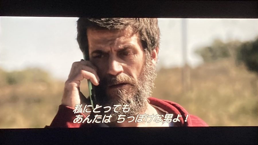 メガロドン将軍 tweet media