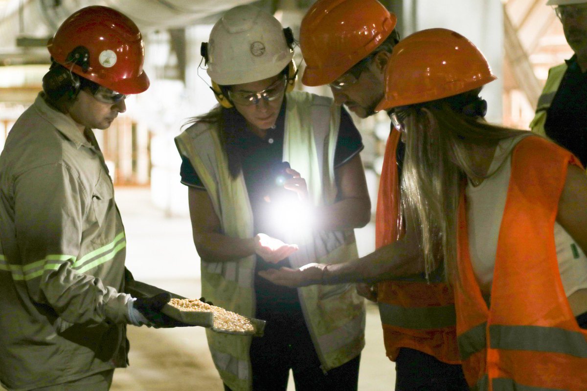 Julia Strada tweet media