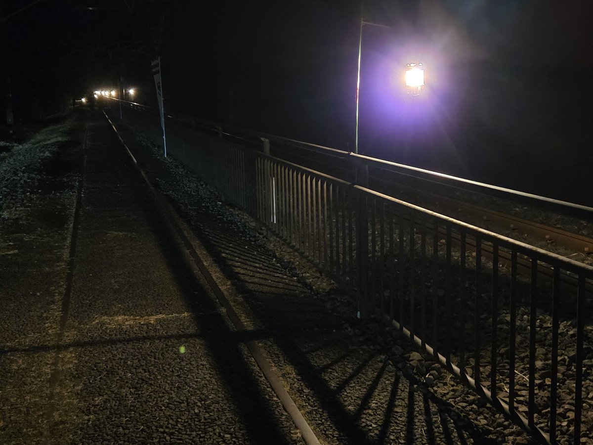 とおる@HALF-DONE 山人音楽祭 tweet media