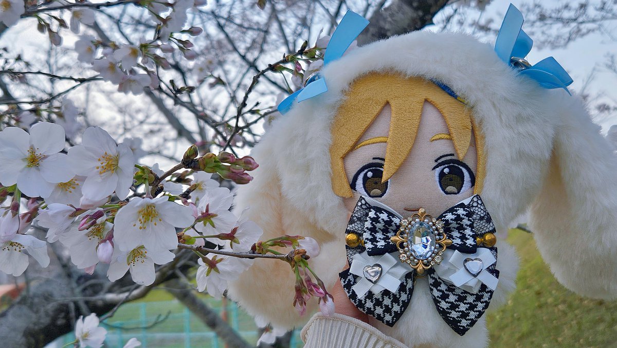 沼落ち芸人❁きりみゅ tweet media