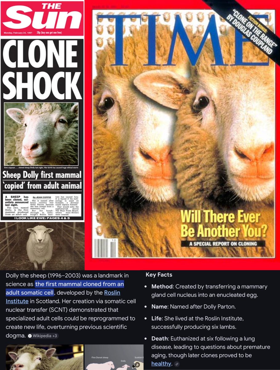 FEAR NO MORE tweet media