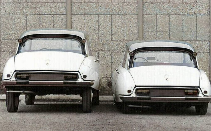 Шульц Штольц tweet media