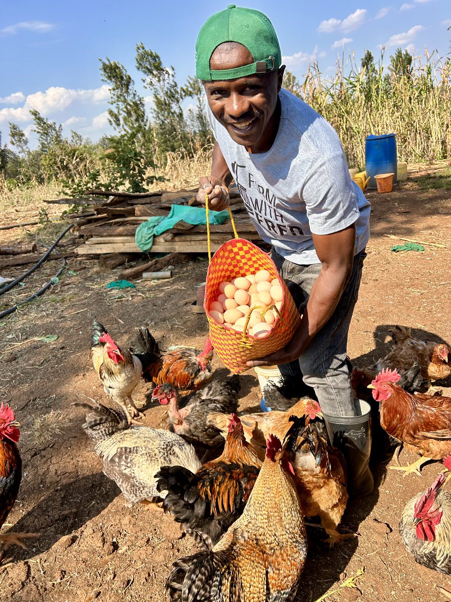 Sunday is not a rest day for a serious farmer. It is a planning day.

Focus on one thing. Sales.

Your farm will only prosper because of sales, not crops or chickens. 

Many farmers grow well but struggle to sell. That is where loss begins.

I usually say ,Farm what you sell with