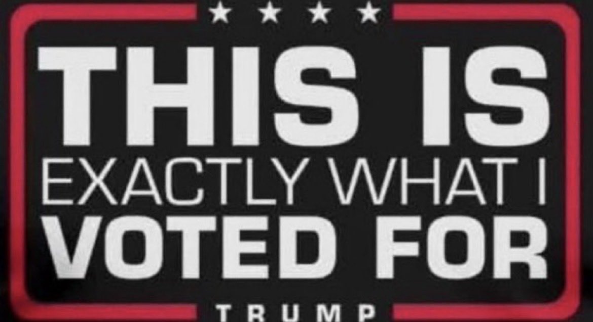 Don Estok tweet media