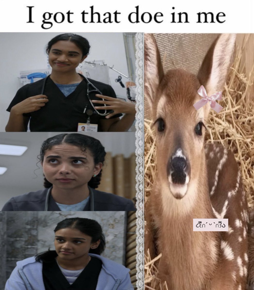 bri 𝝑𝑒 in da pitt tweet media