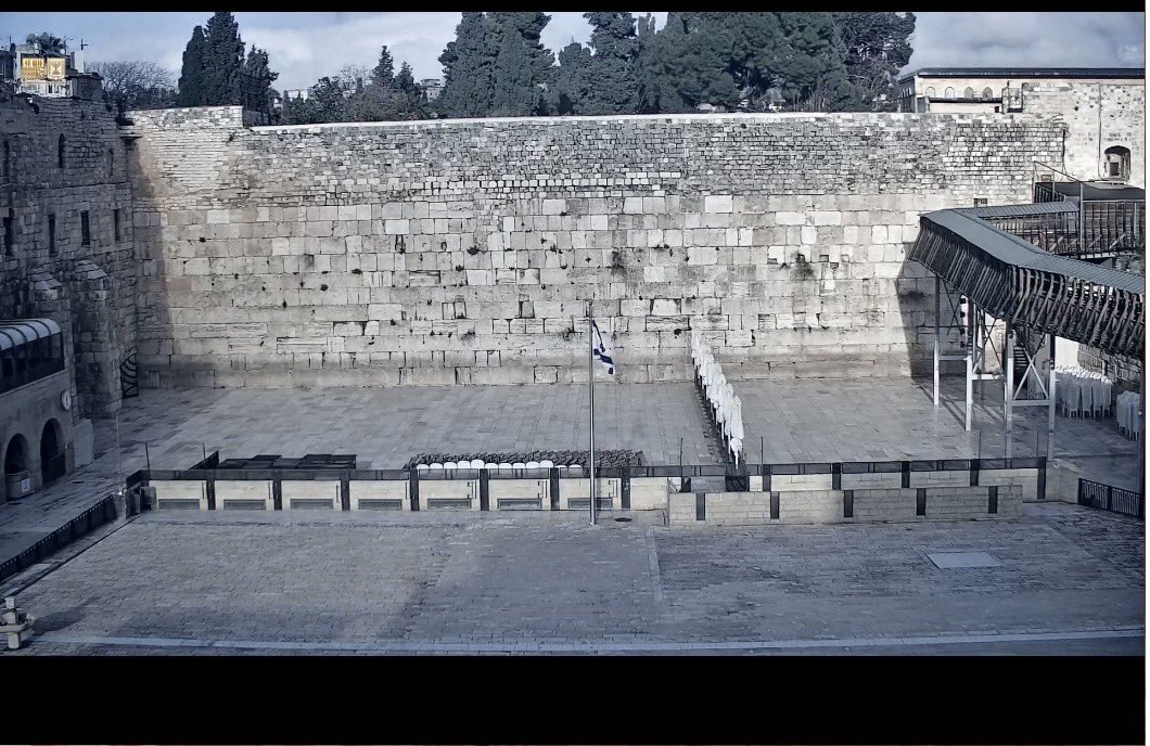 Pierre Rémy tweet media