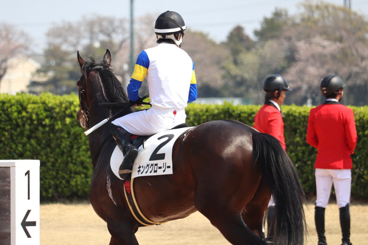 soiree1215's tweet photo. 2026.3.29 中山5R 3歳未勝利
勝ち馬のキンググローリーと丹内祐次騎手
抜け出してから強い競馬で待望の初勝利👏
おめでとうございます🎊

#キンググローリー
#丹内祐次 https://t.co/FgzHIzVxlU