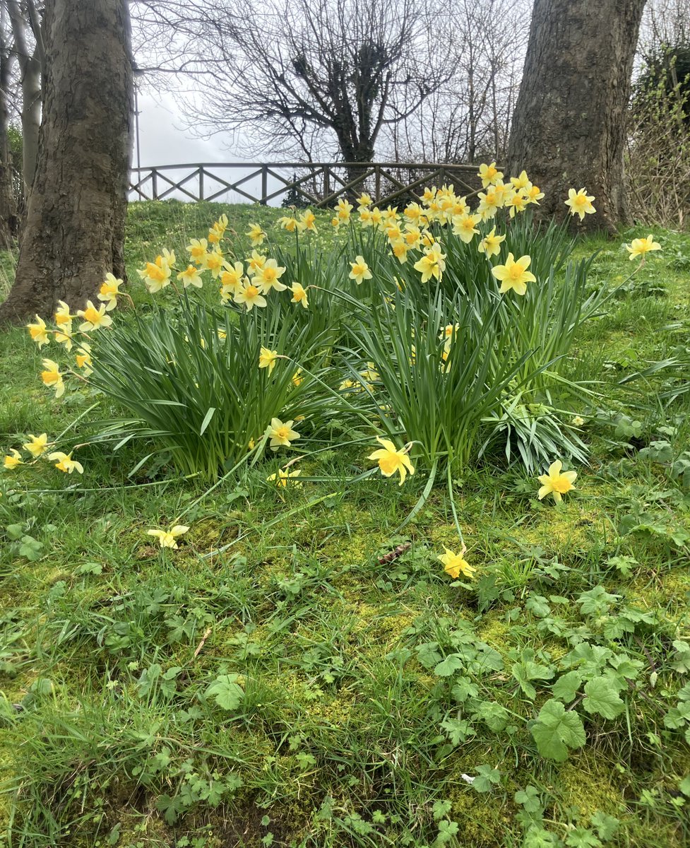 Tess Page tweet media