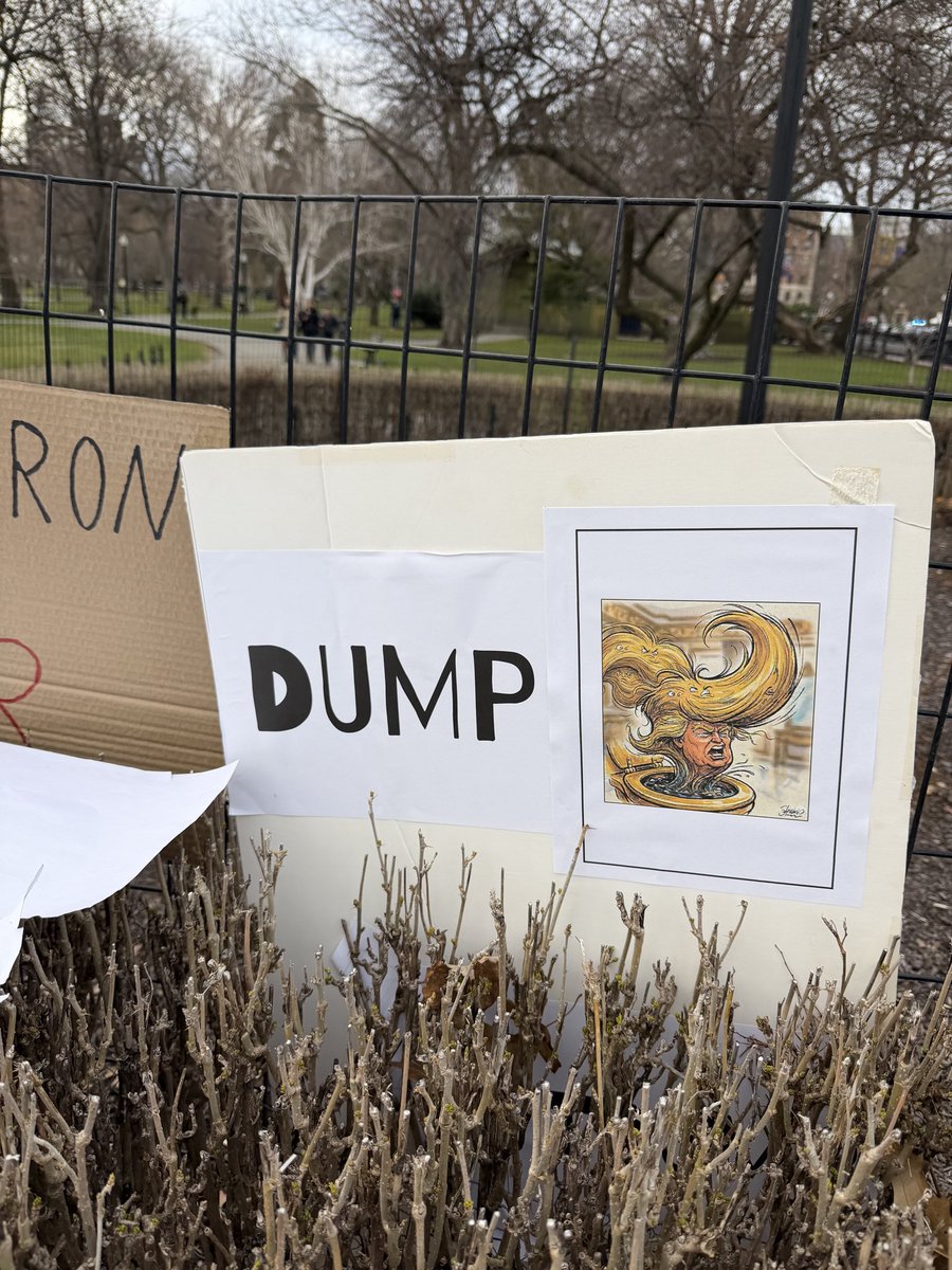 li’l sista =^..^= tweet media