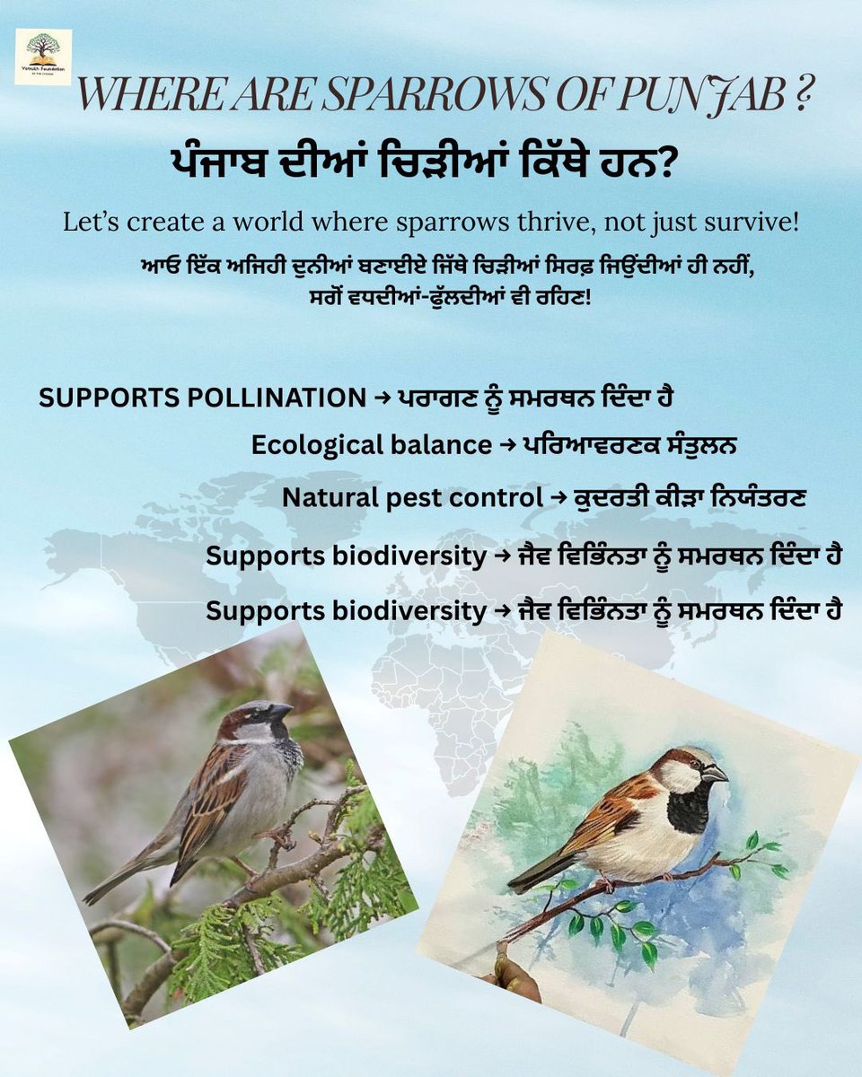 Vatrukh Foundation tweet media