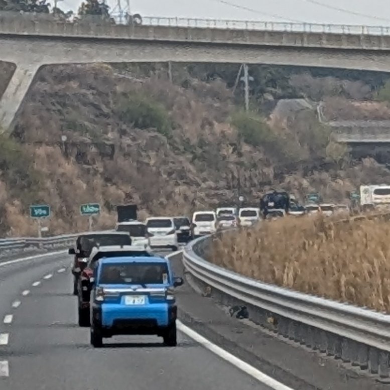 星の砂時計⌛ tweet media