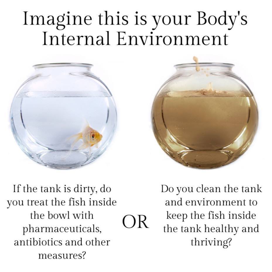 Navigating The Lies tweet media