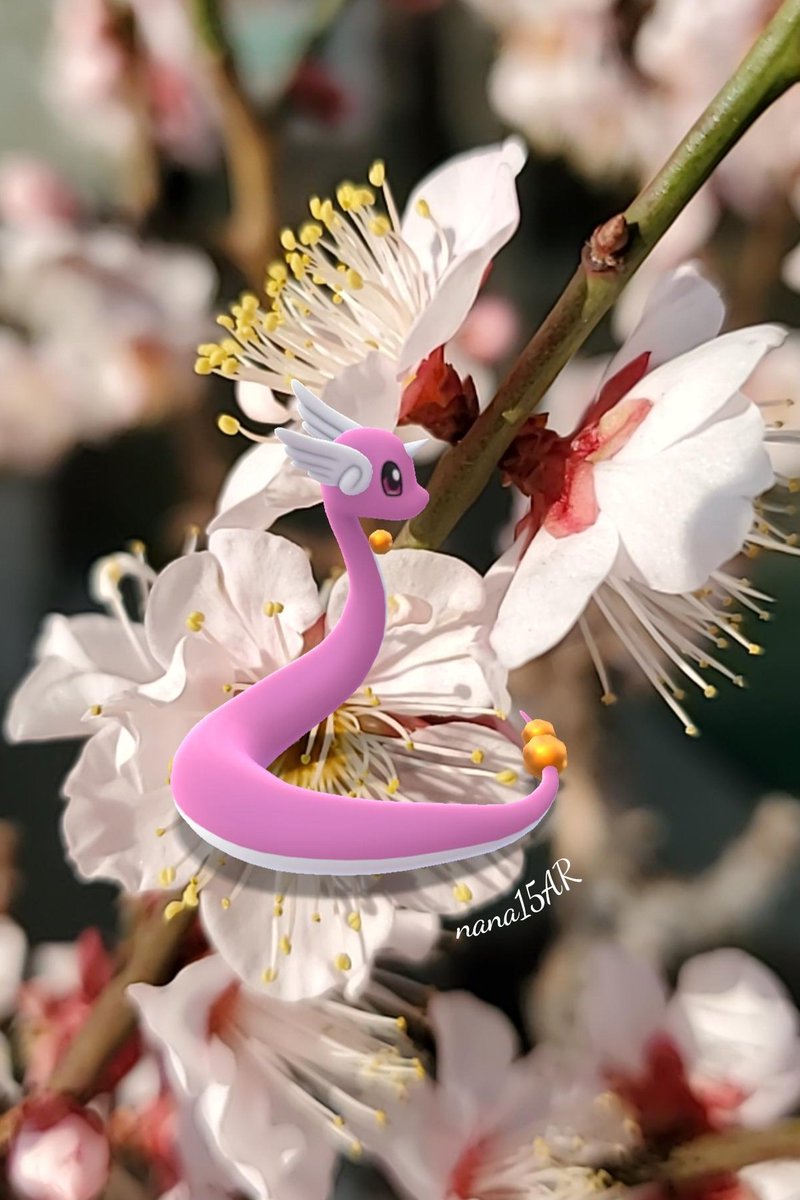 🦔nana🍒🍀🦔🍀🍒 tweet media