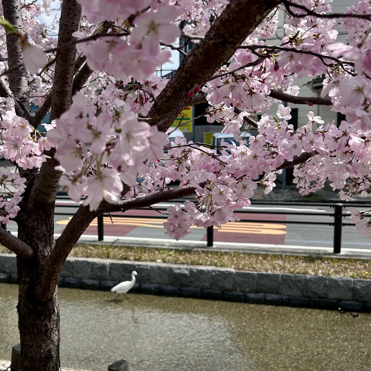 おってい tweet media