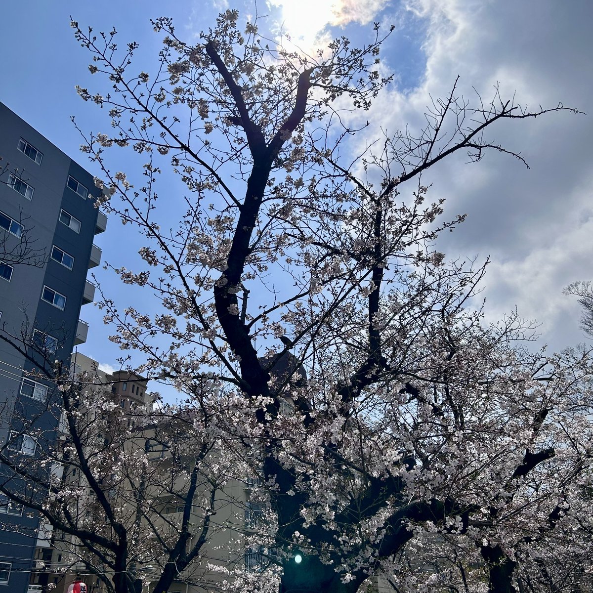 おってい tweet media