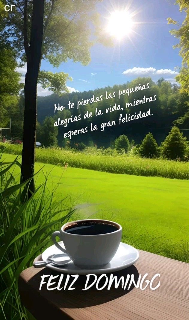 lululopezsalas's tweet image. No te pierdas las pequeñas alegrías de la vida, mientras esperas la gran felicidad. Les deseo un #FelizDomingoATodas #DomingodeRamos #Animo @cgf59 @sandritacorral @PatyAcevedo5 @fdodiaznaranjo