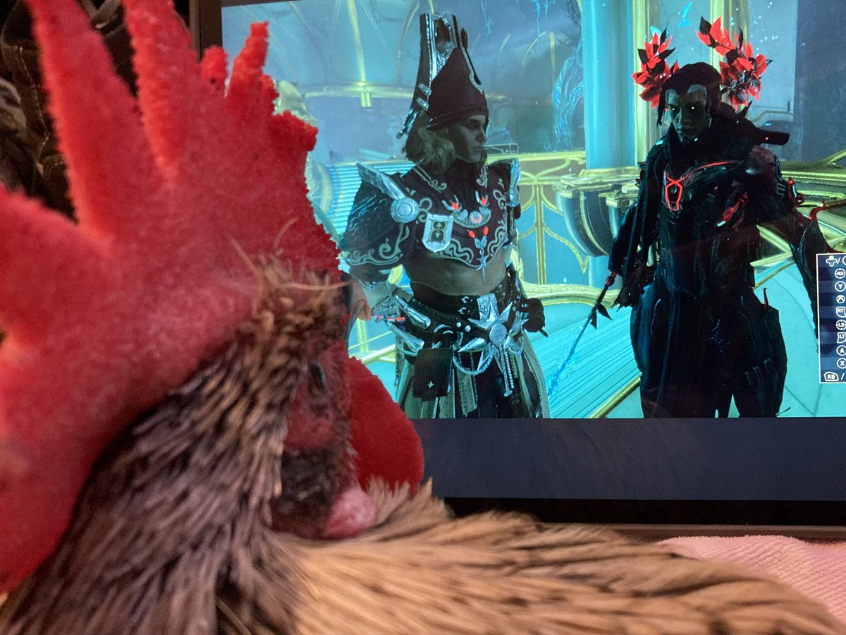 Sinister Chicken Man 🔪 tweet media