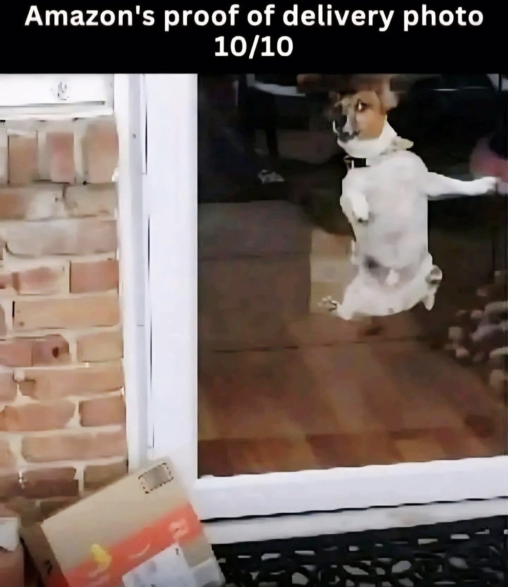 Juanita Broaddrick tweet media