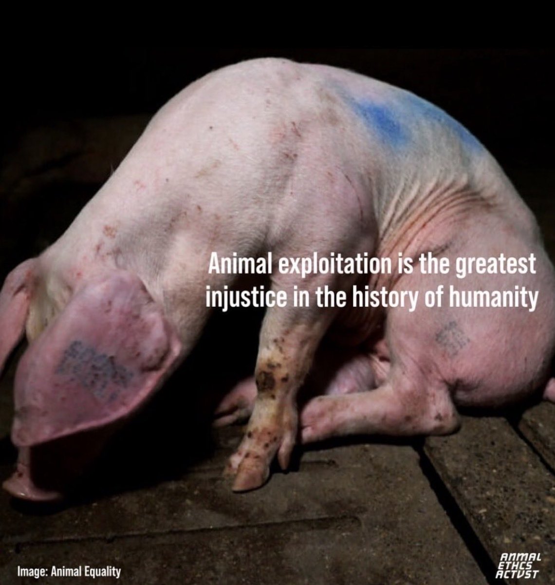 NothingIsArt tweet media