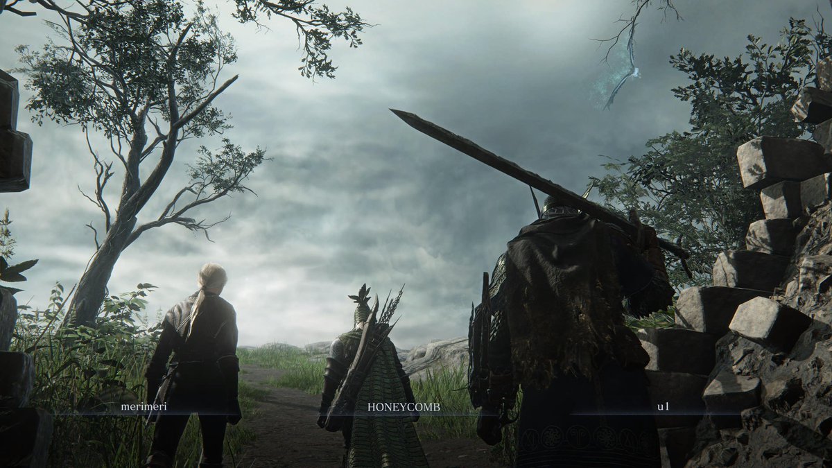 ハニ【6/7 TYM💛🐒FC 郡山!】 tweet media