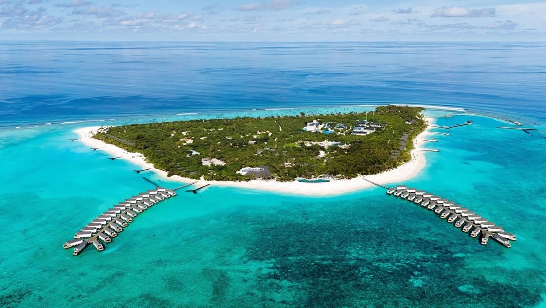 فنادق المالديف tweet media