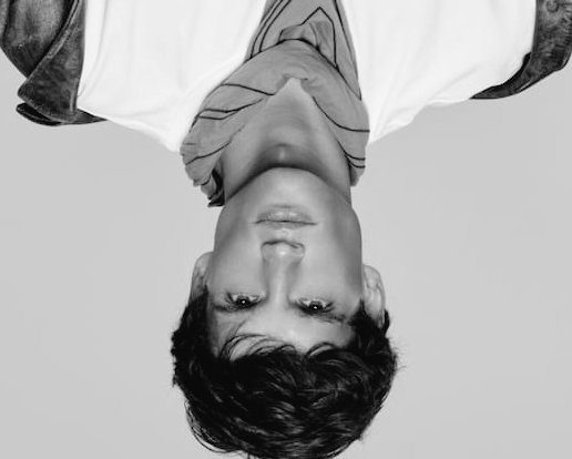 ELGATOLOCO tweet media