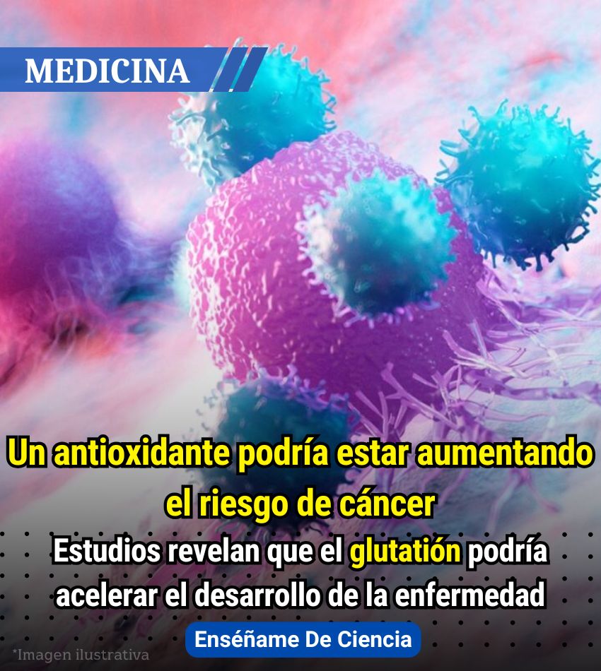 Enséñame de Ciencia tweet media