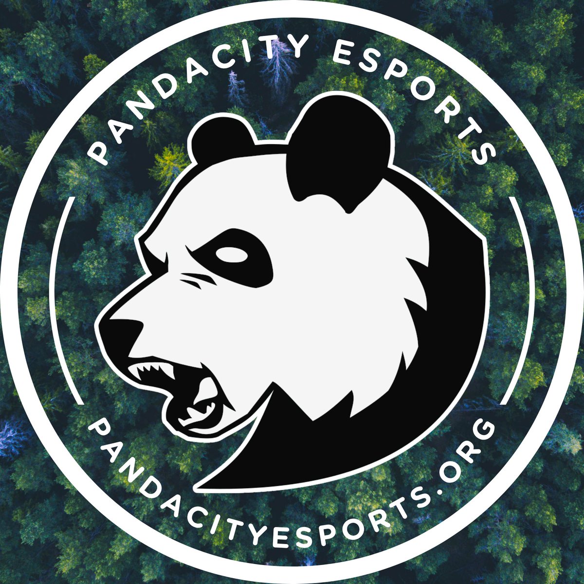 Pandacity Esports tweet media
